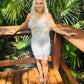 The Sandra Dress